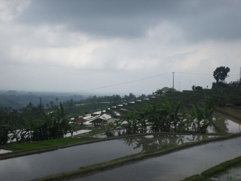 Hotel Tepi Sawah Lodge