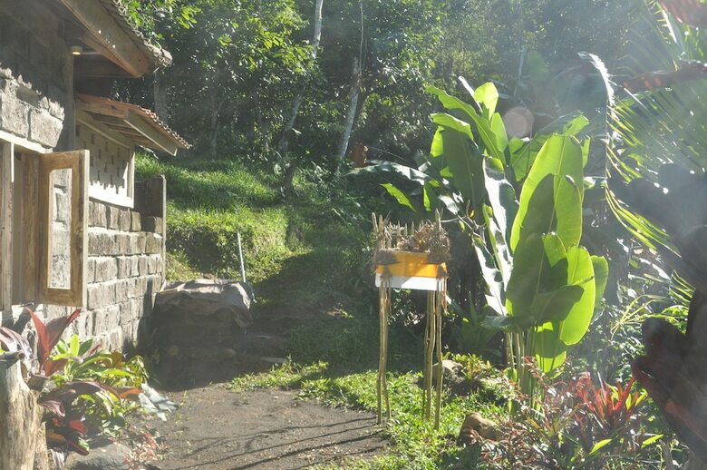 Hotel Tepi Sawah Lodge