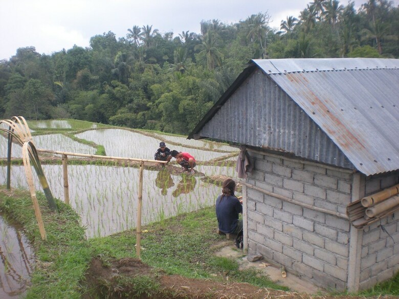 Hotel Tepi Sawah Lodge