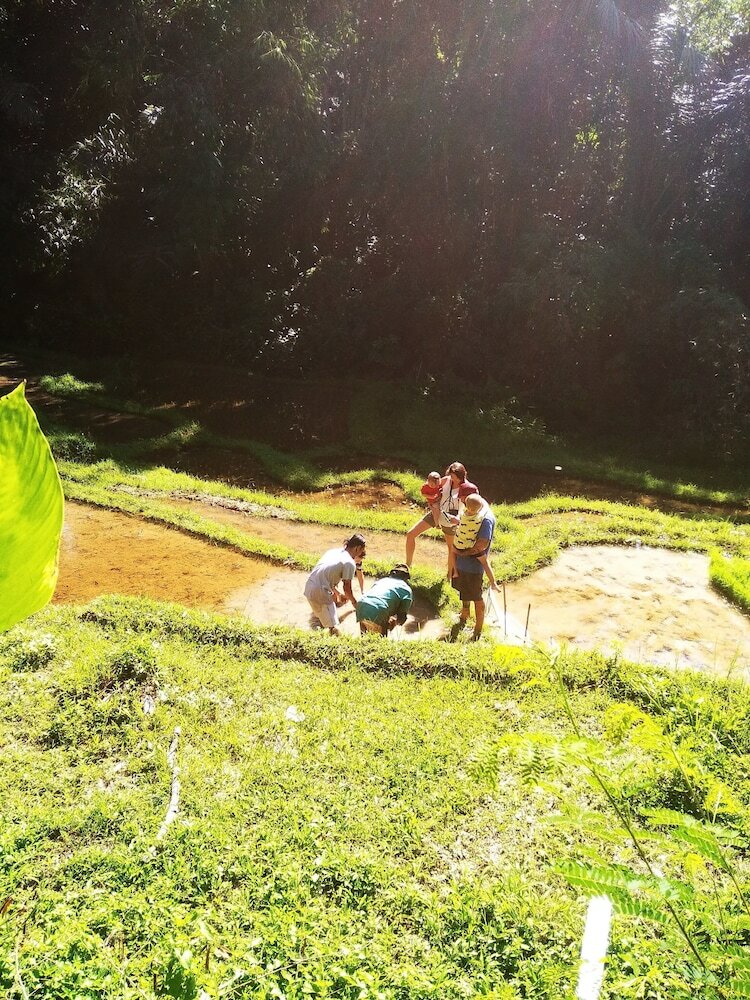 Hotel Tepi Sawah Lodge