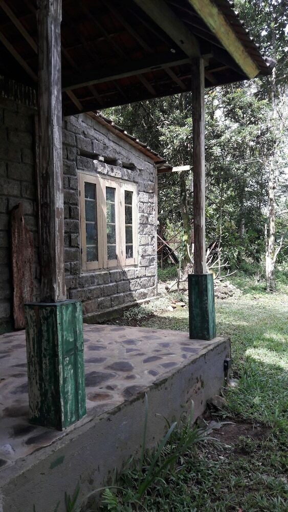 Hotel Tepi Sawah Lodge