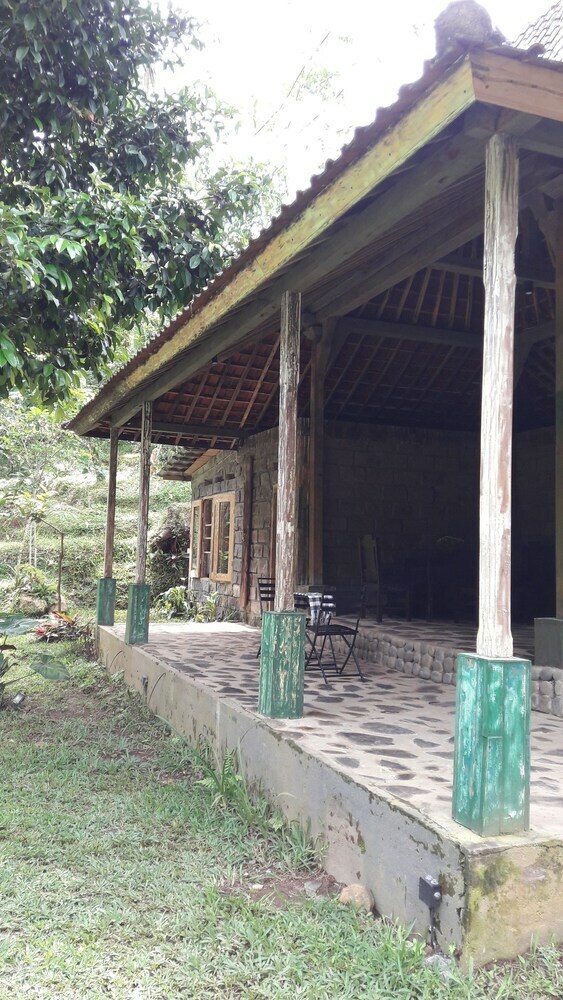Hotel Tepi Sawah Lodge