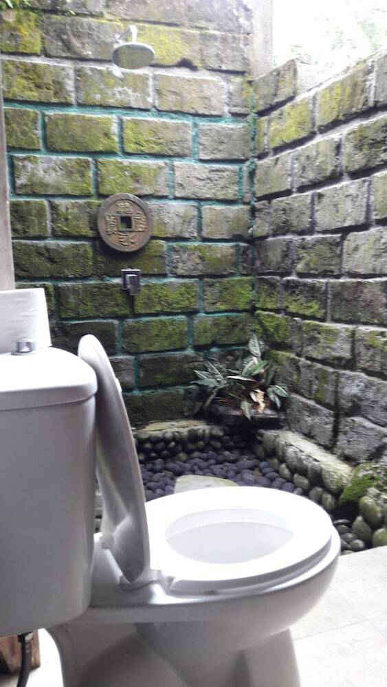 Hotel Tepi Sawah Lodge