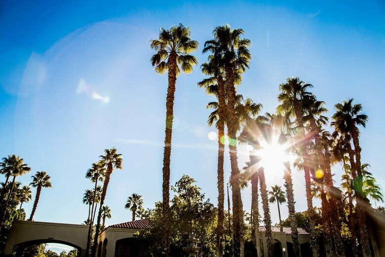 Motel Ivy Palm Resort