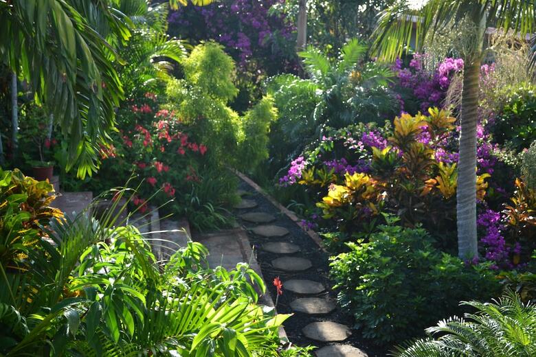 Bed & Breakfast Eden Atenas