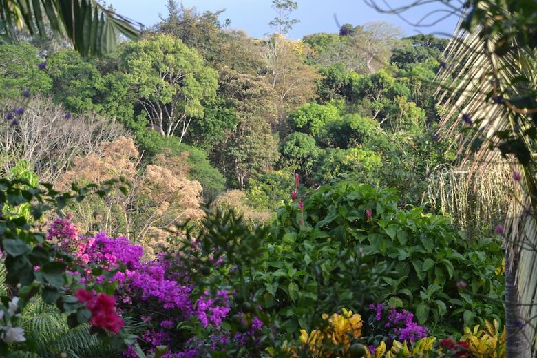 Bed & Breakfast Eden Atenas