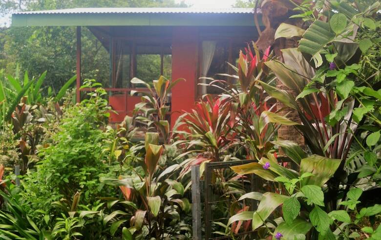 Bed & Breakfast Eden Atenas
