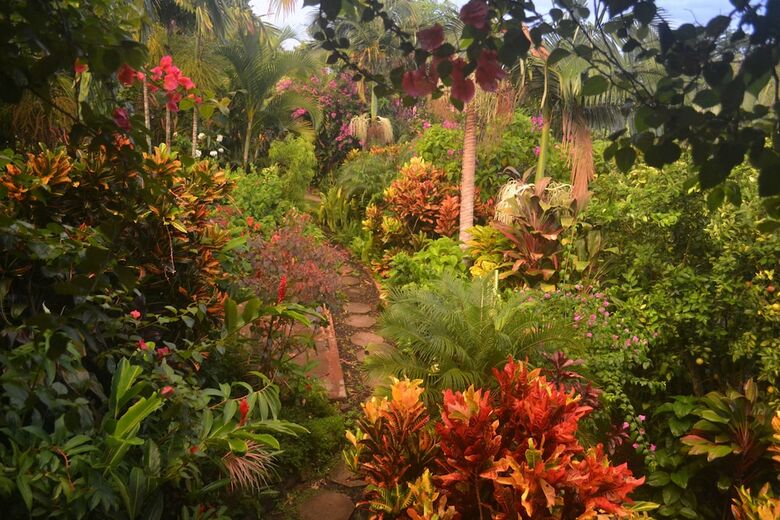 Bed & Breakfast Eden Atenas