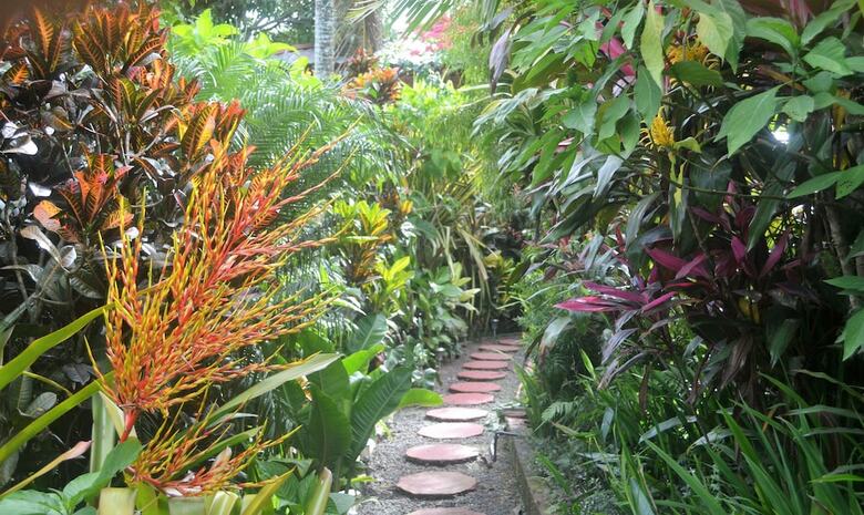 Bed & Breakfast Eden Atenas