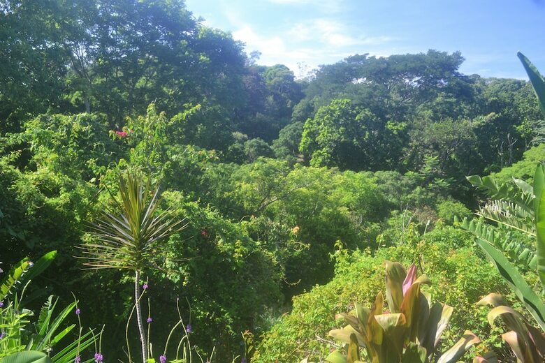 Bed & Breakfast Eden Atenas