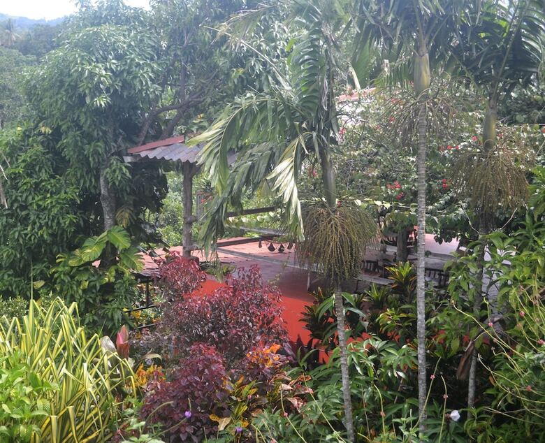 Bed & Breakfast Eden Atenas