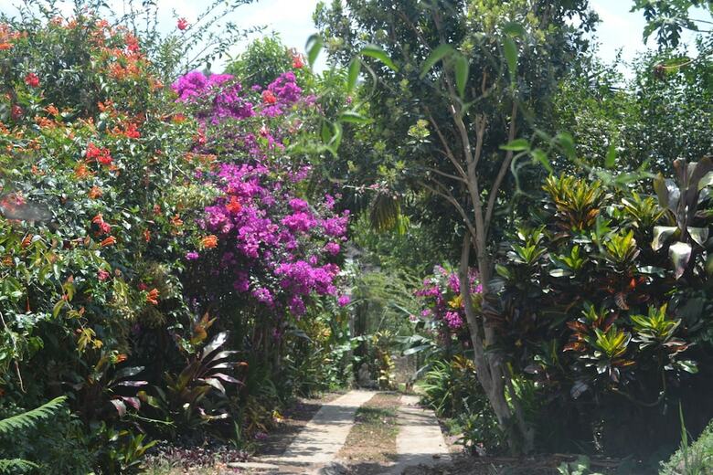 Bed & Breakfast Eden Atenas