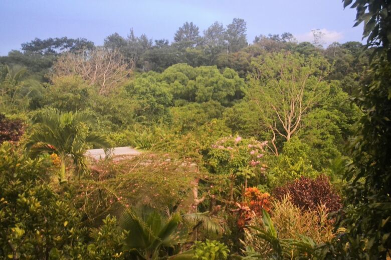 Bed & Breakfast Eden Atenas