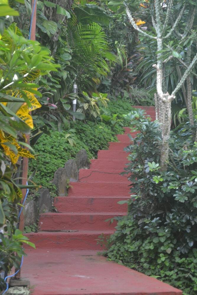 Bed & Breakfast Eden Atenas