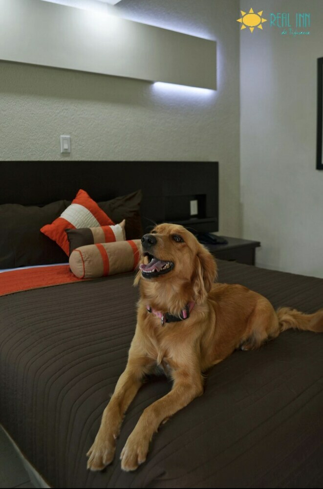 Hotel Real Inn Tijuana