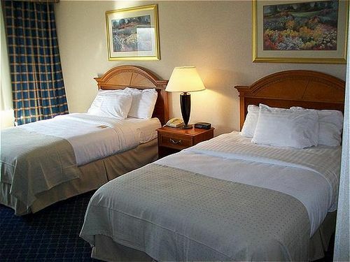 Hotel Holiday Inn Charlotte University Executive Park