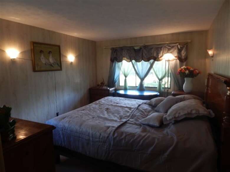 Bed & Breakfast Fern Forest Getaway