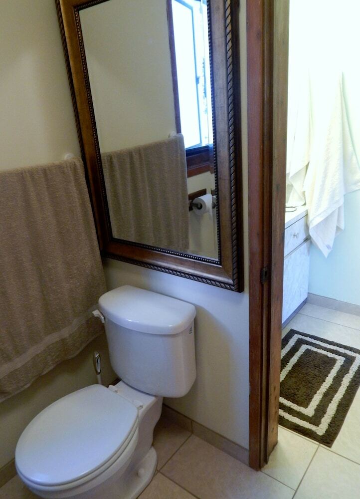 Bed & Breakfast Fern Forest Getaway