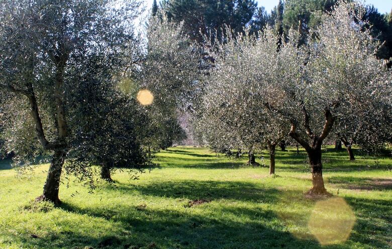 Agroturismo Molino Le Gualchiere