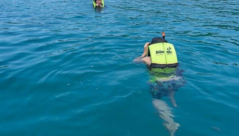 Hotel Jungle Koh Kood Resort