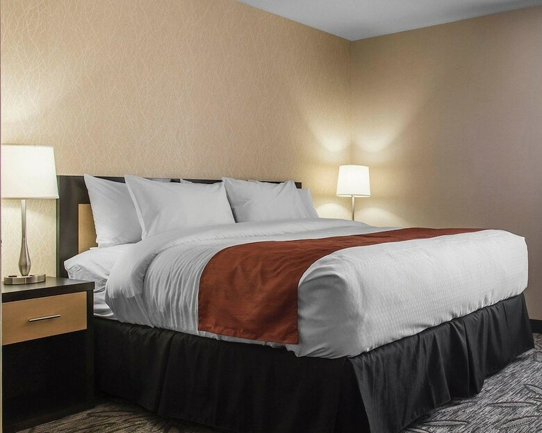 Hotel Quality Inn & Suites
