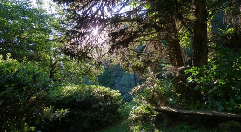 Posada Pousada Sitio Nossa Senhora De Loreto