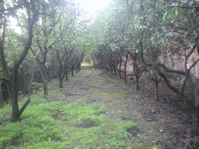 Hostal Centro de Naturaleza Ca�ada Verde