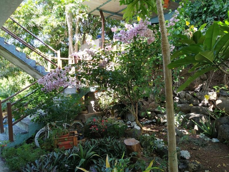 Hostal La Casita de La Isla