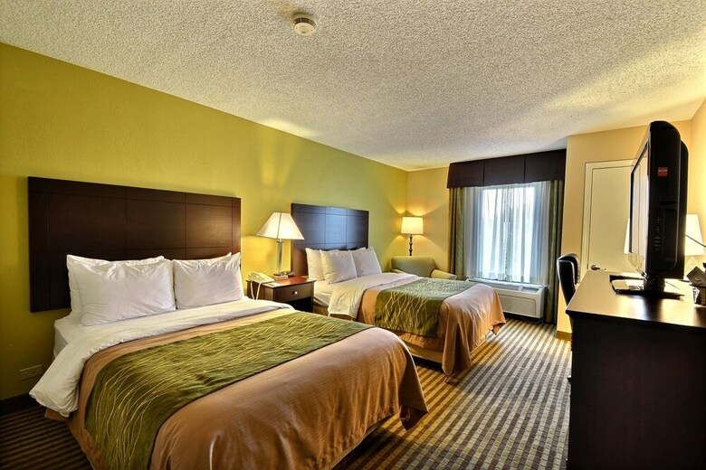 Hotel Comfort Inn & Suites Clearwater Pinellas Park