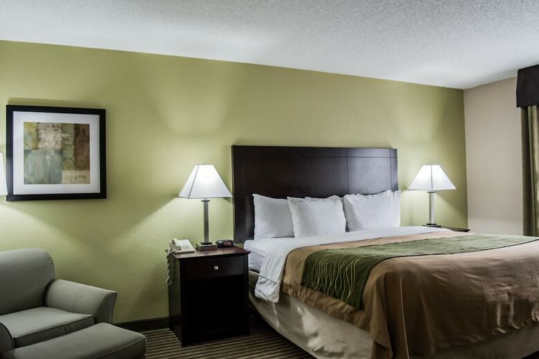 Hotel Comfort Inn & Suites Clearwater Pinellas Park