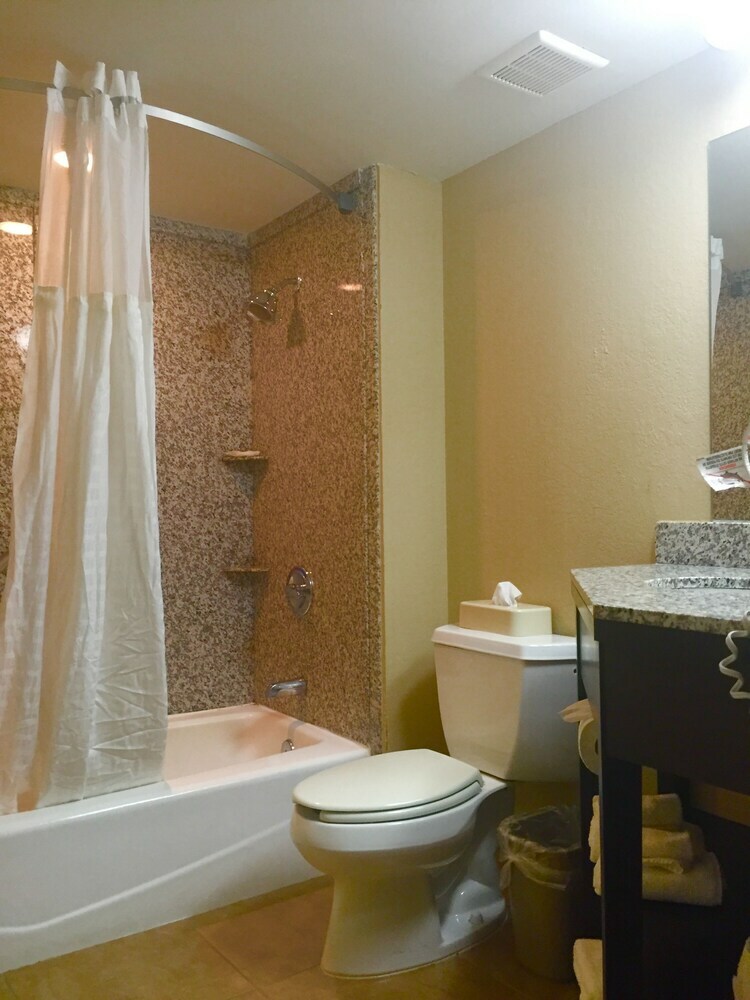 Hotel Comfort Inn & Suites Clearwater Pinellas Park