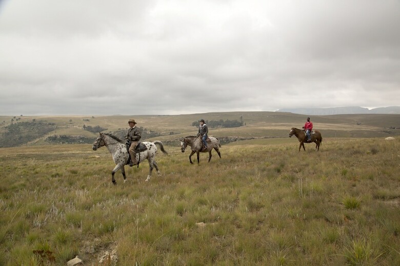 Posada Wild Horses Lodge