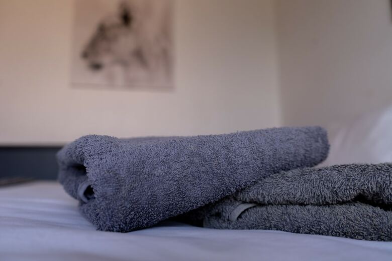 Hostal Surf Lodge South Africa - Hostel