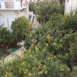 Apartamentos Likourgos Beach