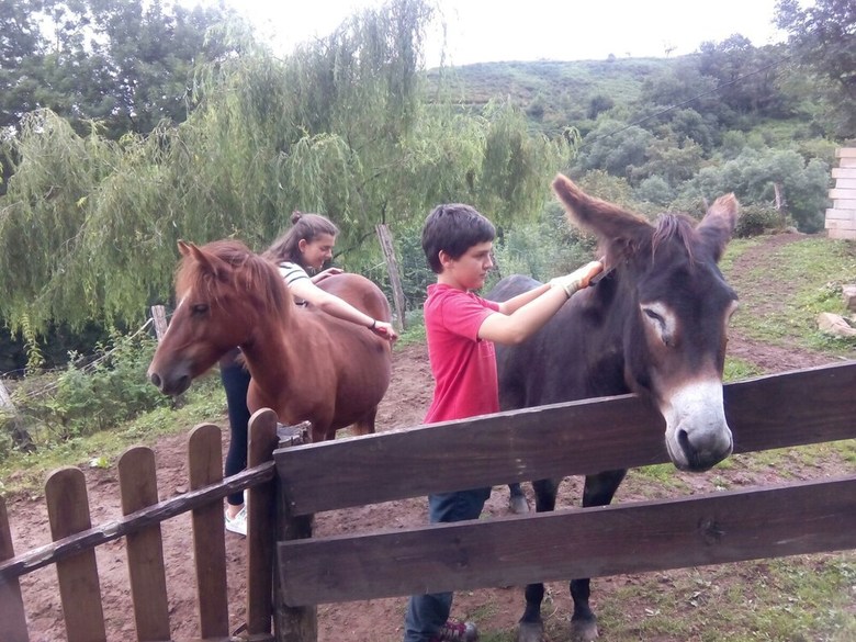 Agroturismo Casa Rural Haitzetxea