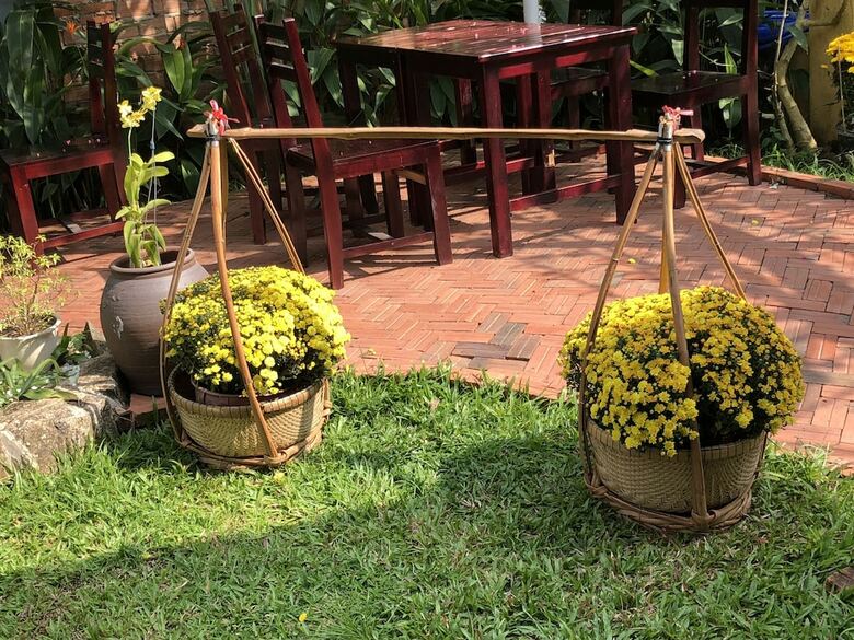 Bed & Breakfast Tropical Garden Homestay