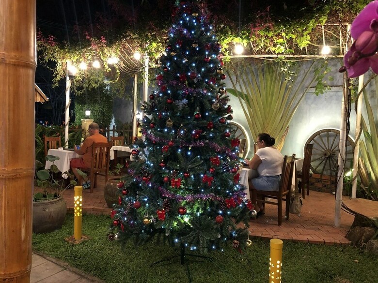 Bed & Breakfast Tropical Garden Homestay