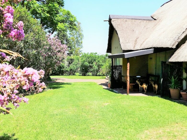 Pine Tree Lodge