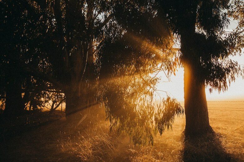 Margaret River Holiday Cottages