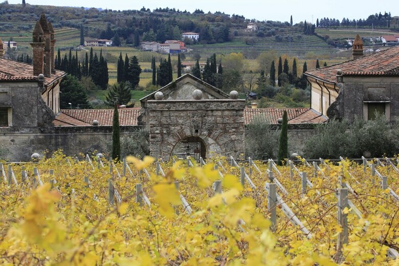 Villa Della Torre Allegrini Wine Relais