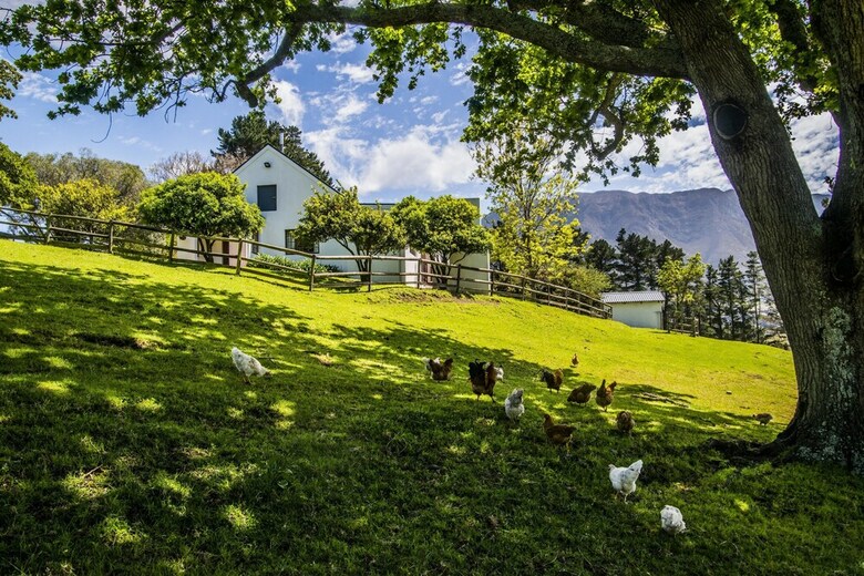 High Season Farm
