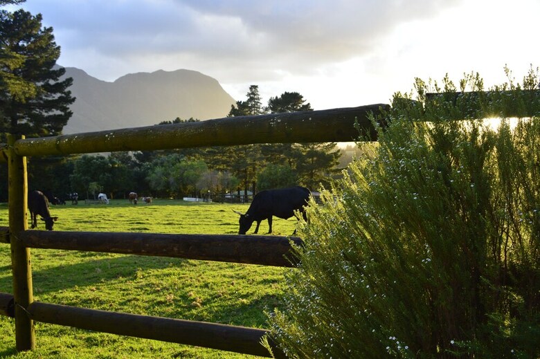 High Season Farm