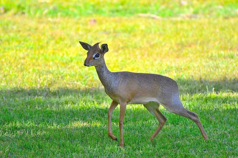 Posada Arumeru River Lodge