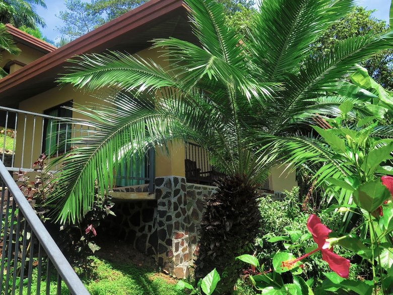Hotel Seagull Cove Resort