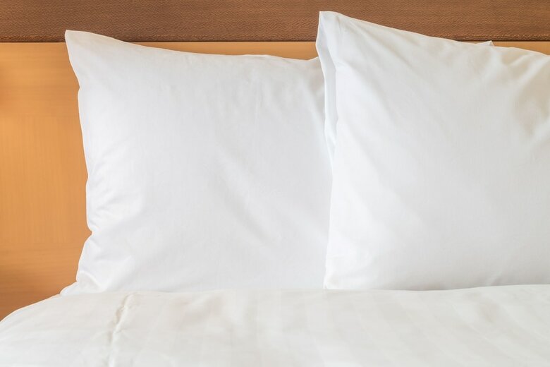 Hotel Holiday Inn Strasbourg - Nord