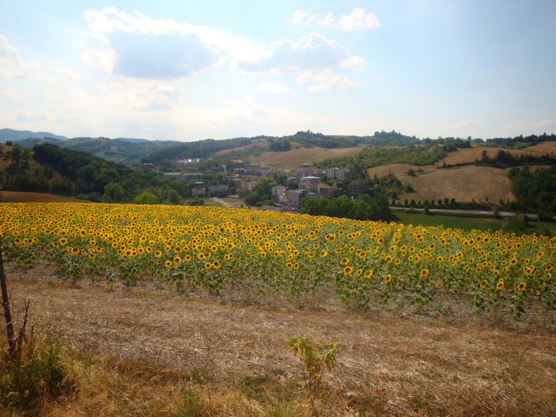 Garden Hotel Tabiano