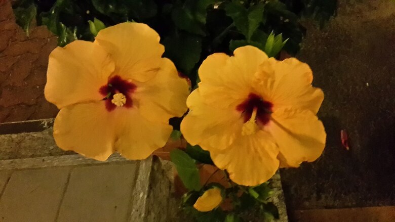 Garden Hotel Tabiano