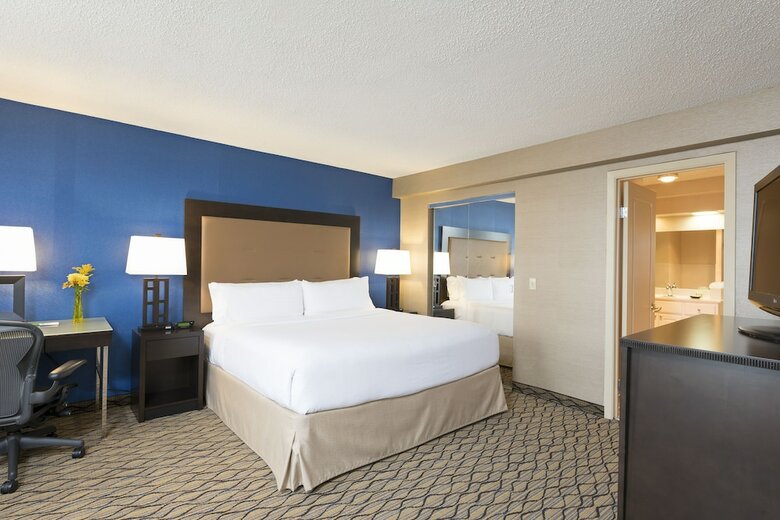 Hotel Holiday Inn Chicago - Elk Grove