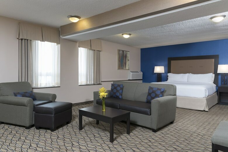 Hotel Holiday Inn Chicago - Elk Grove