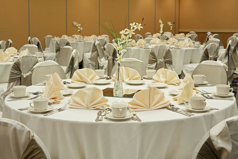 Hotel Holiday Inn Chicago - Elk Grove